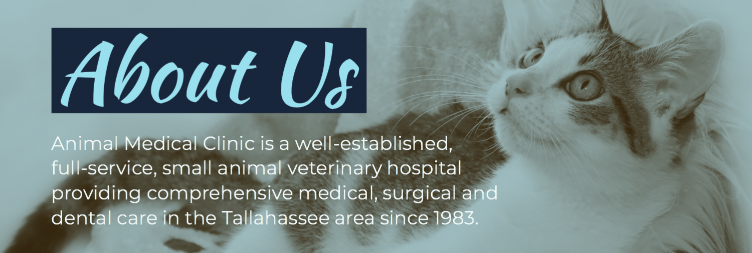 Animal Medical Clinic Veterinarians Serving Tallahassee and Woodville
